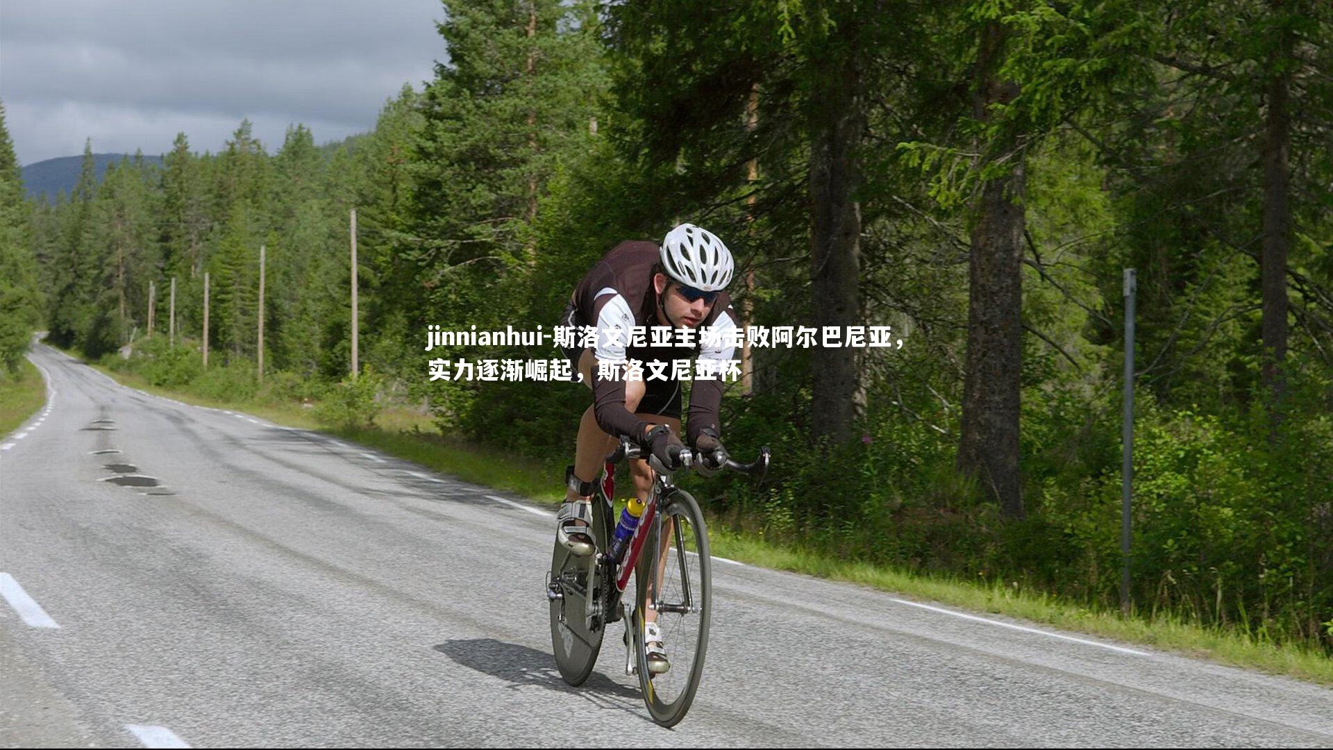 斯洛文尼亚主场击败阿尔巴尼亚，实力逐渐崛起，斯洛文尼亚杯