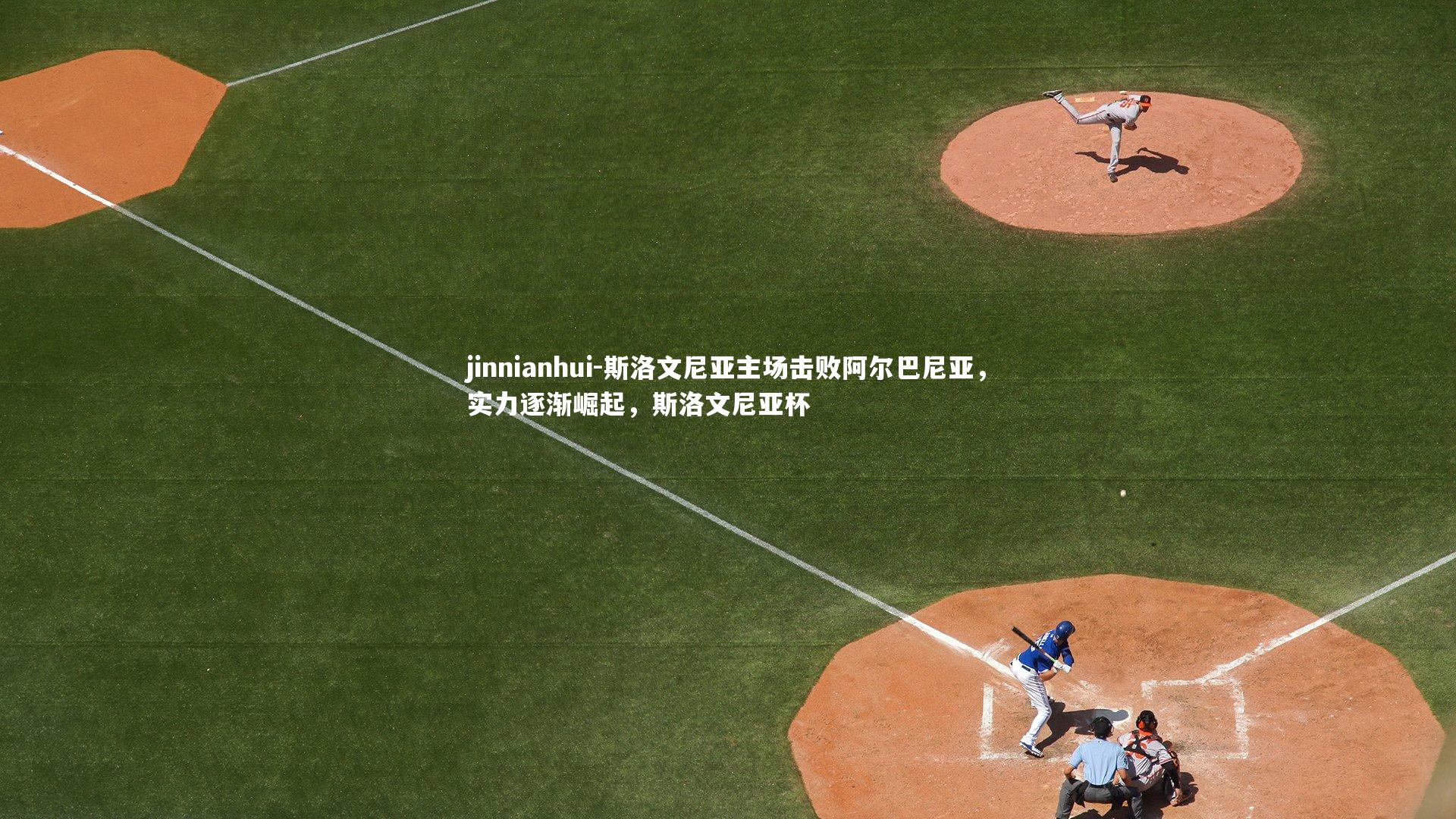 斯洛文尼亚主场击败阿尔巴尼亚，实力逐渐崛起，斯洛文尼亚杯