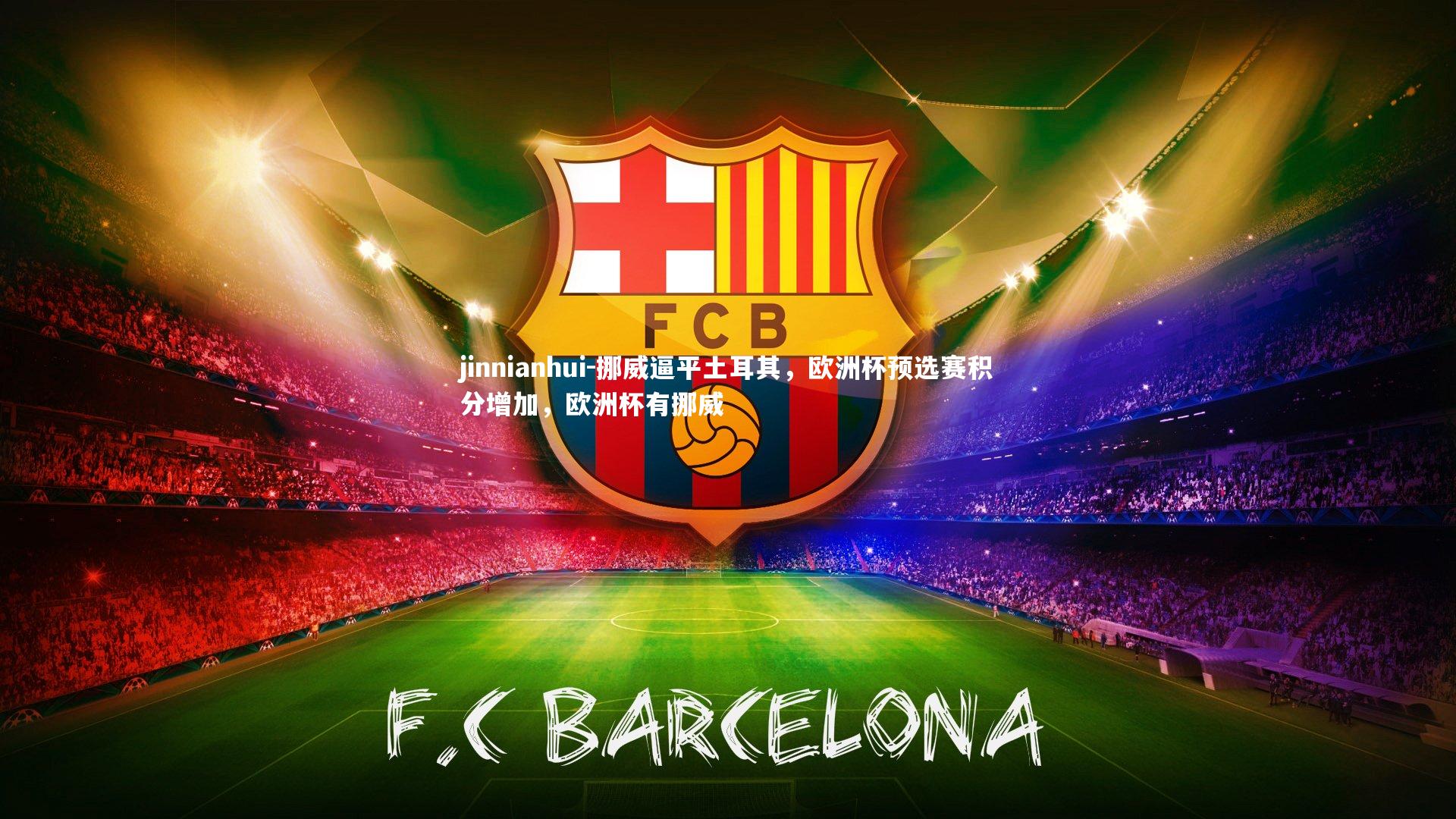 挪威逼平土耳其，欧洲杯预选赛积分增加，欧洲杯有挪威